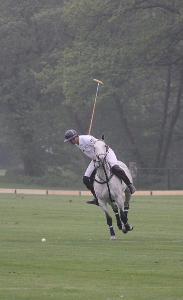 Polo_Art   089.jpg